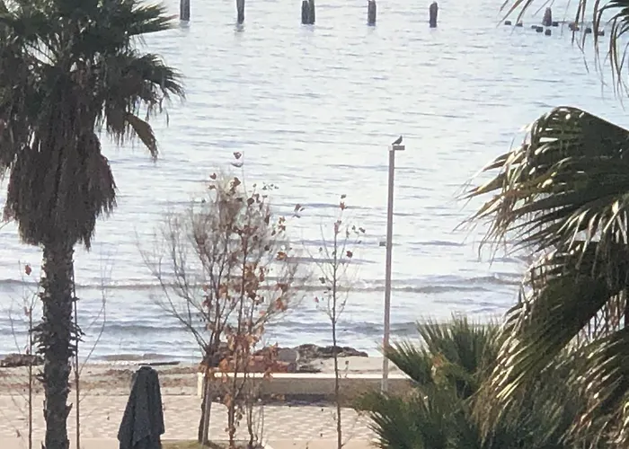 Vollga Four Seasons * Durrës